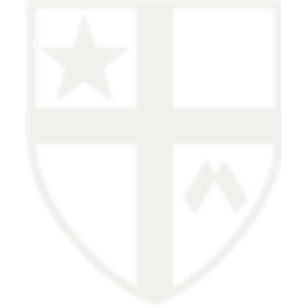 Shield-Yellow Thumbnail